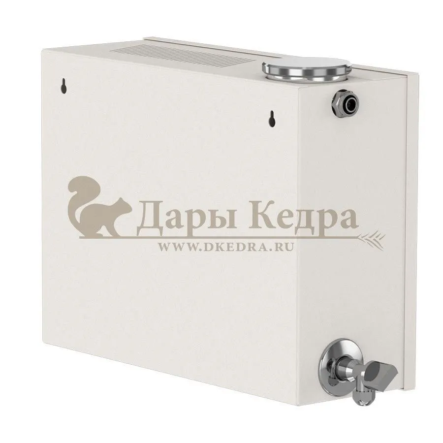 Парогенератор накопительный, 4 кВт с выносным цифровым пультом управления